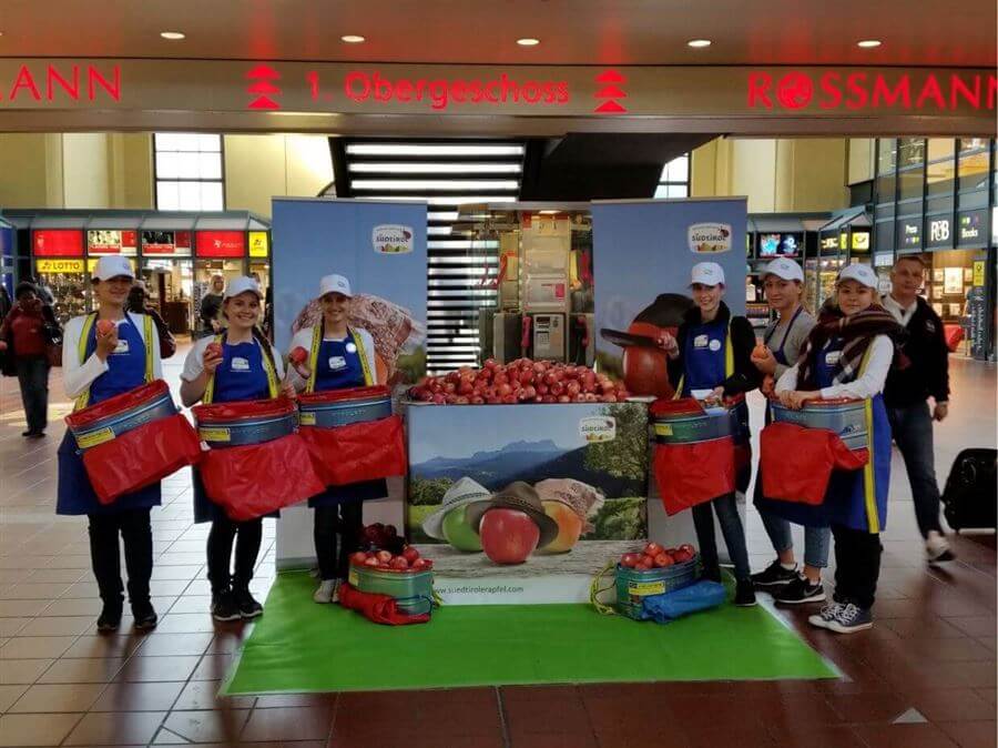 Die Ernte: Wann ein Apfel reif ist und wem er schmeckt